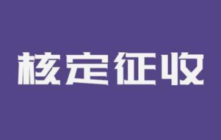 成都申請(qǐng)企業(yè)所得稅核定征收需要什么條件?